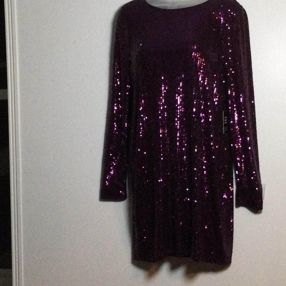 Express Plum Sequin Party dress